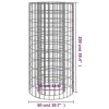 Gabion Fire Pit √ò 19.7" Galvanized Iron