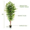 6FT Solid Wood 1260 Leaves Truncated Banyan Tree Simulation Tree Green